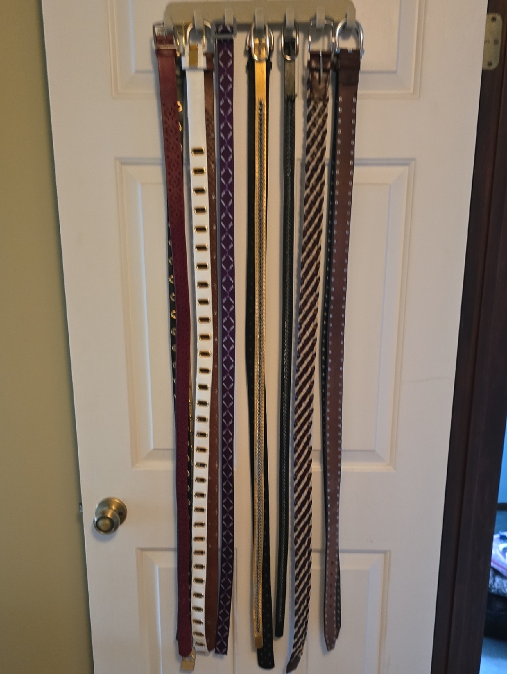 Assorted Leather and Fabric Belts - Multi-Color Set